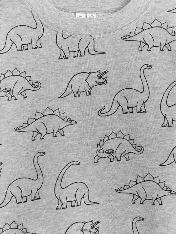 ARKET kleding 0DXJP1509 grijs/dino ontspannen sweatshirt kinderen